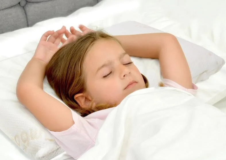 Babyworks - Big Kid Toddler Pillowcase