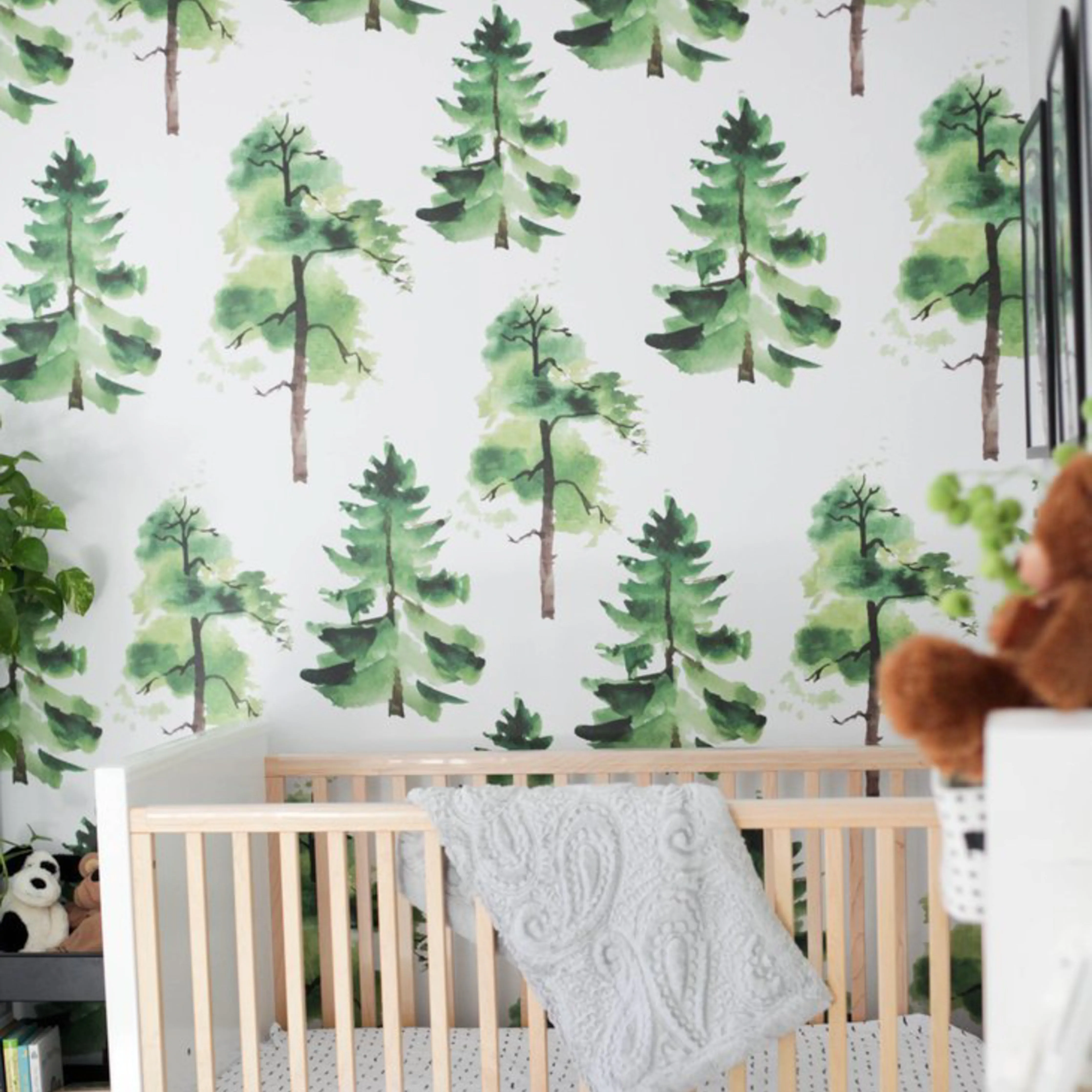 Cedar Wallpaper