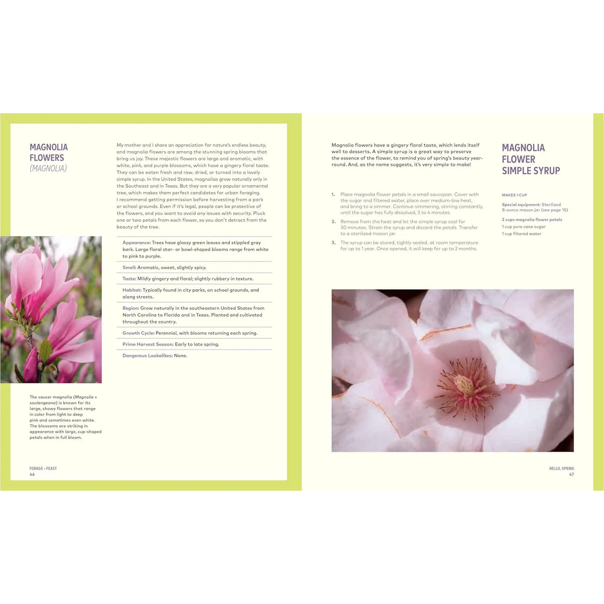 Forage & Feast: Recipes for Bringing Mushrooms & Wild Plants to Your Table