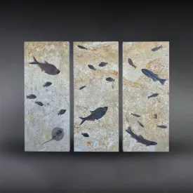 Fossil Fish Triptych with Stingray - 75 x 57 inches