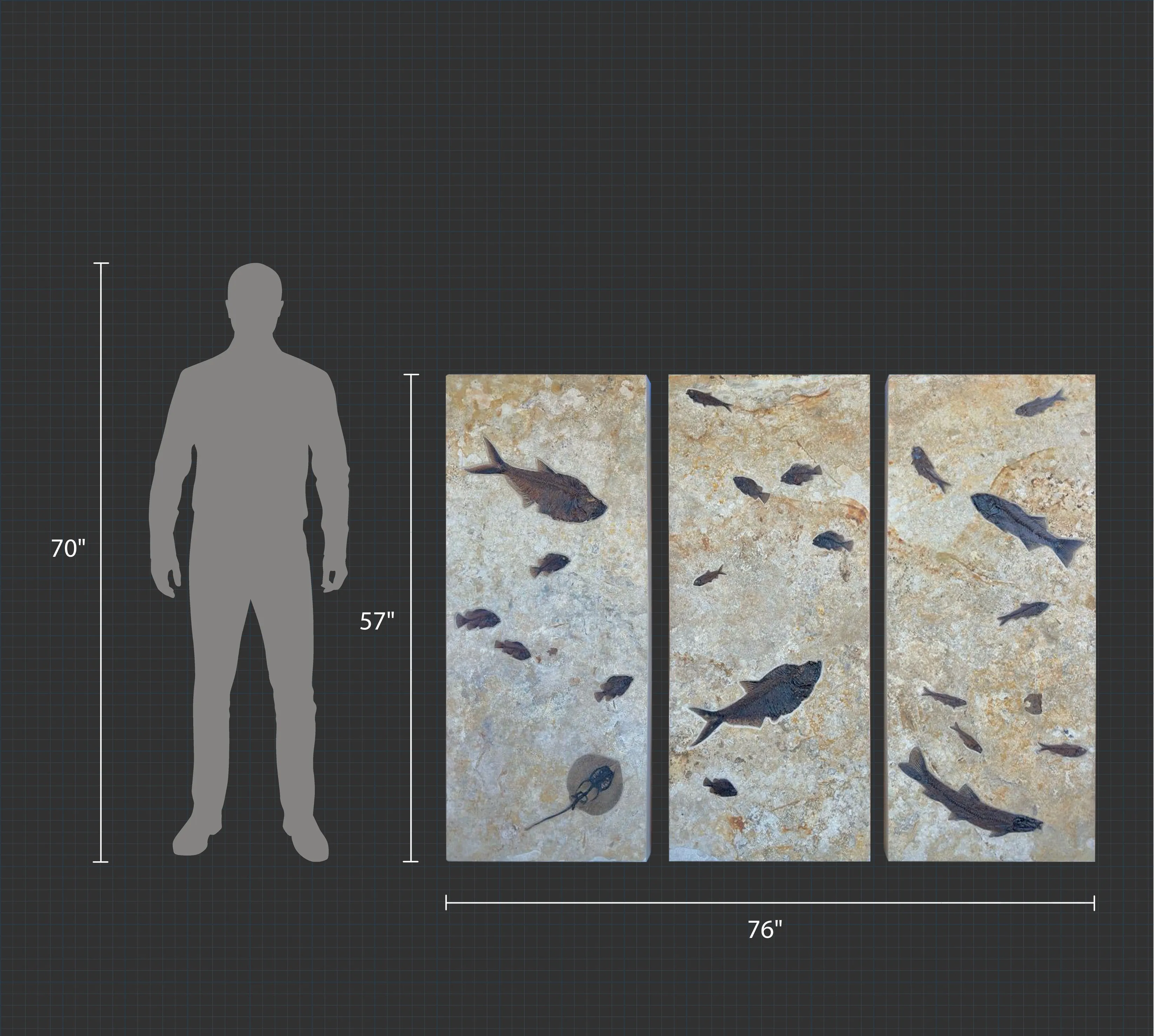 Fossil Fish Triptych with Stingray - 75 x 57 inches