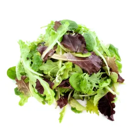 Lettuce Alfresco Pelleted Seeds | West Coast Seeds