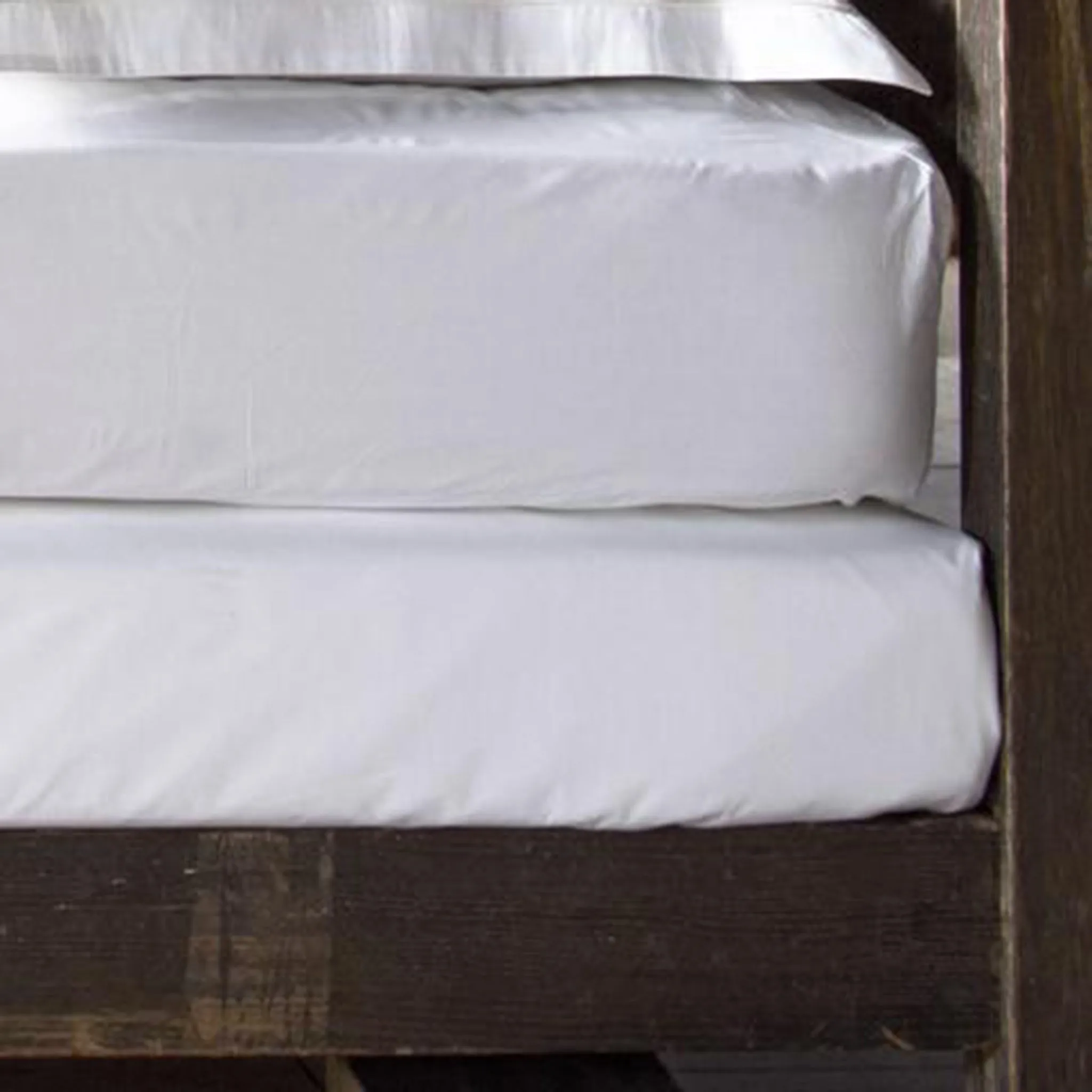 Peter Reed Egyptian Cotton Fitted Sheet